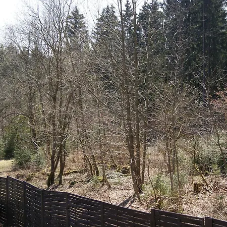 Apartman Schmidt Braunlage