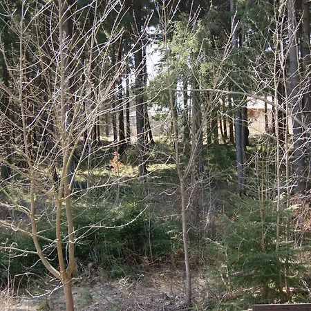 Apartman Schmidt Braunlage